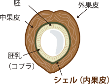 ピュアクリスタルでは「ヤシ殻活性炭」のみを使用しています!