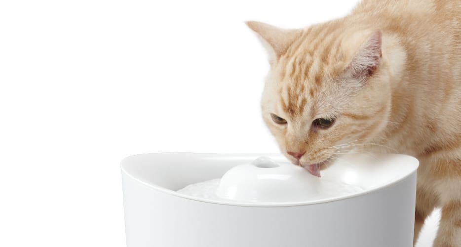 ネコちゃん専用設計