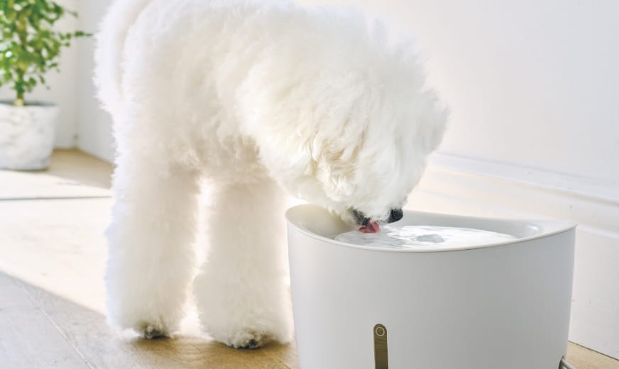 水の大切さを知っていますか？