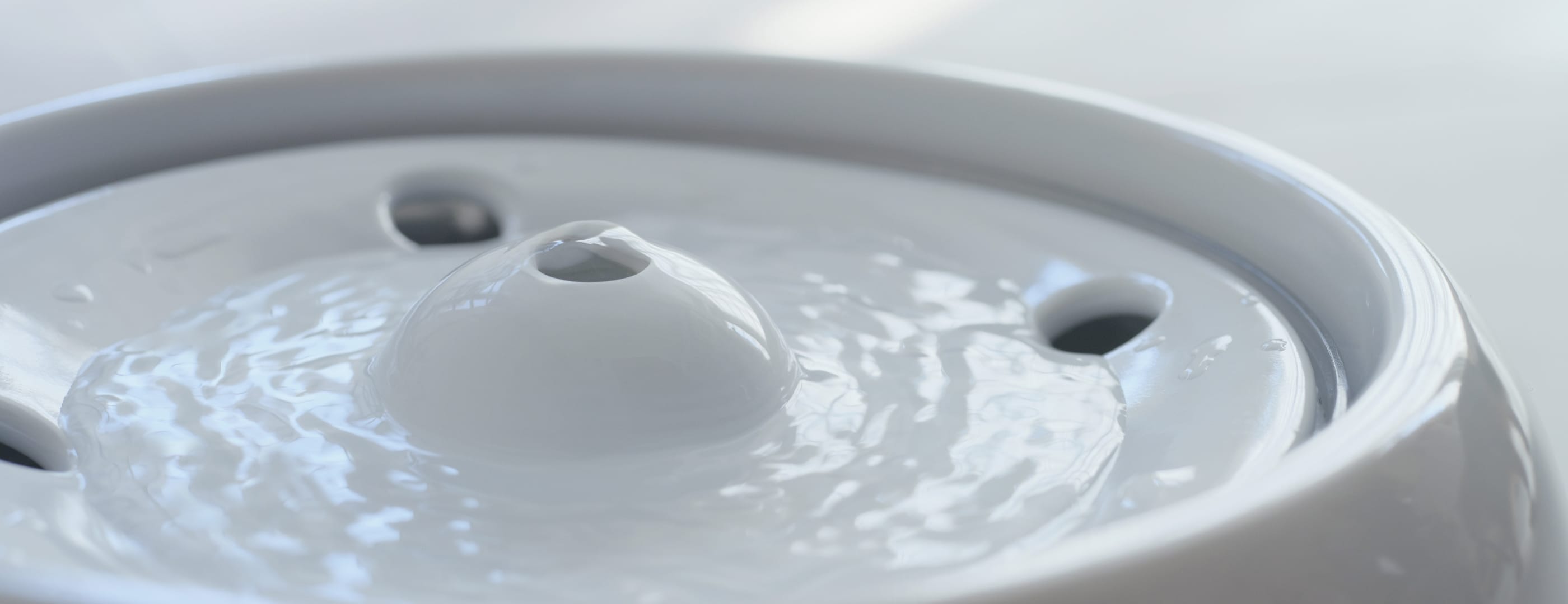 Q&A - よくあるご質問