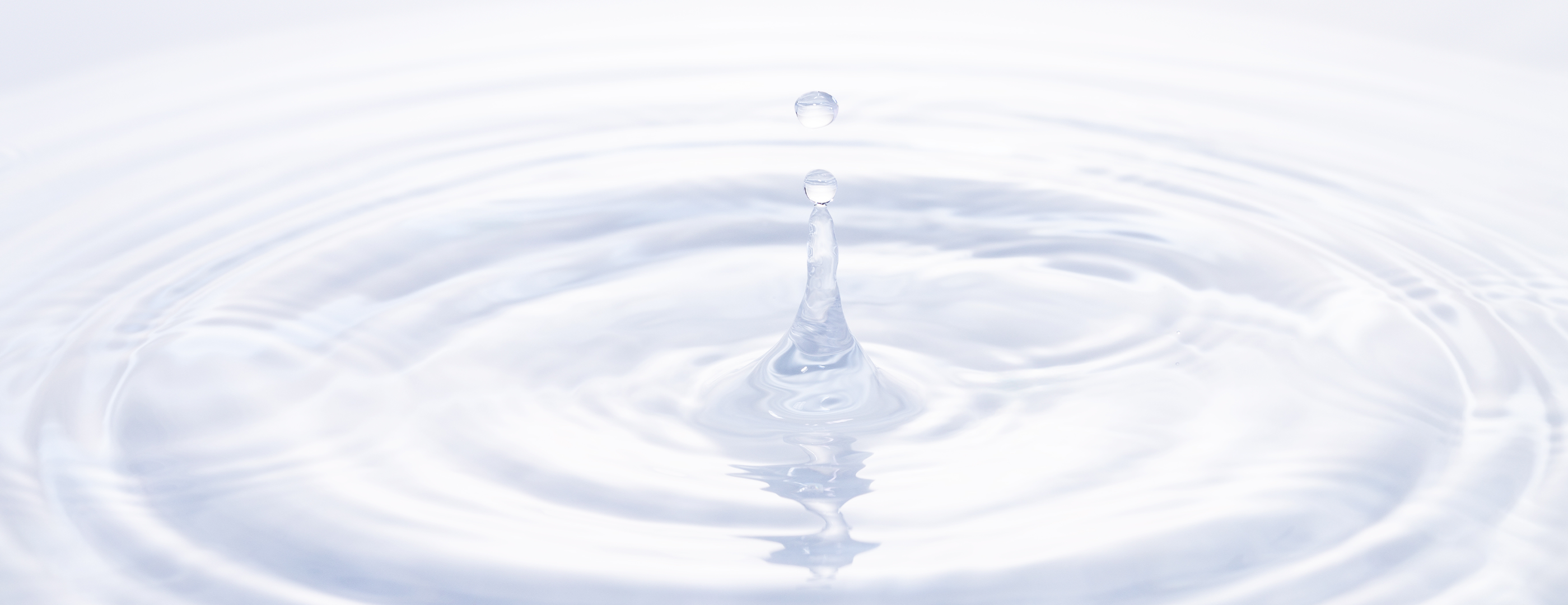 WATER CHECK - 水質調査