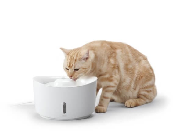 ネコちゃん用フィルター式給水器 - CAT WATER FOUNTAIN