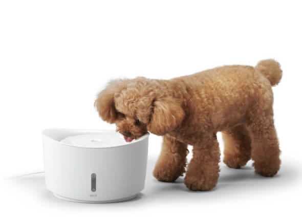 ワンちゃん用フィルター式給水器 - DOG WATER FOUNTAIN
