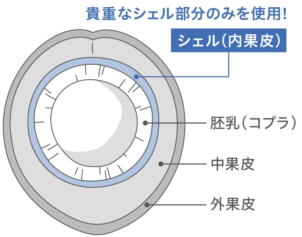 貴重なシェル部分のみを使用！