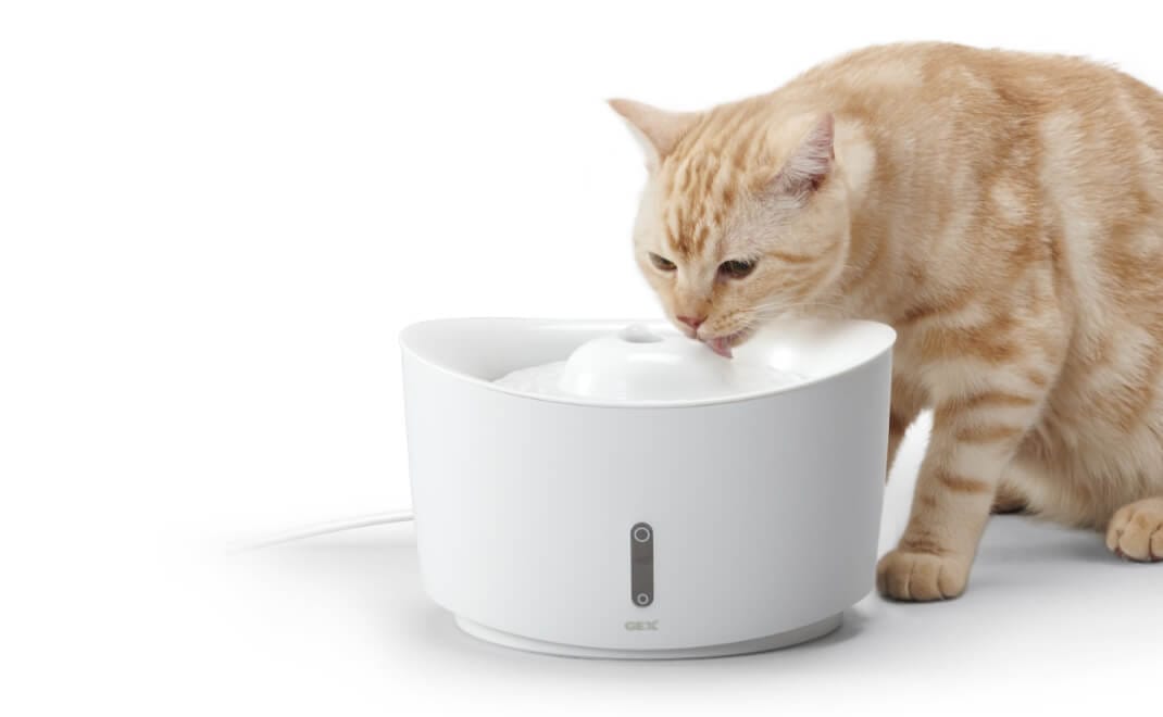 ネコちゃん用フィルター式給水器 - CAT WATER FOUNTAIN