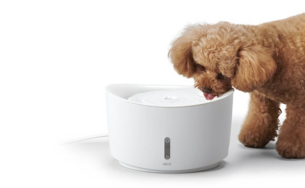 ワンちゃん用フィルター式給水器 - DOG WATER FOUNTAIN