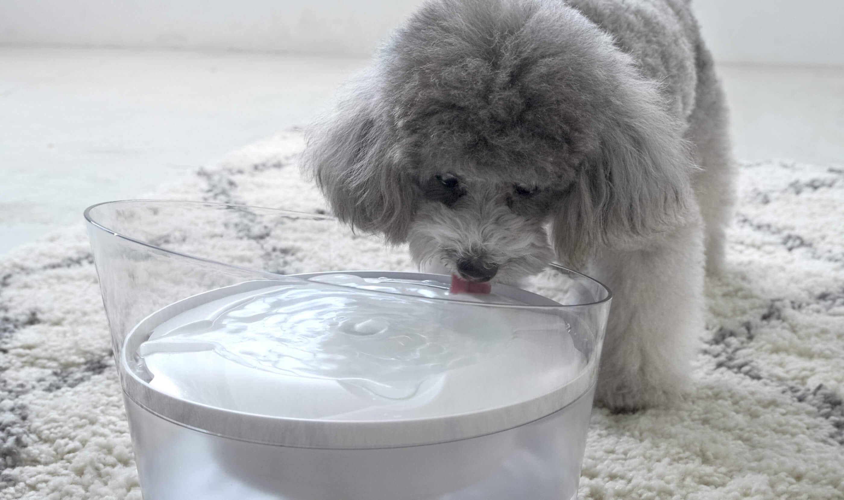 家族の健康は、水からはじまる。