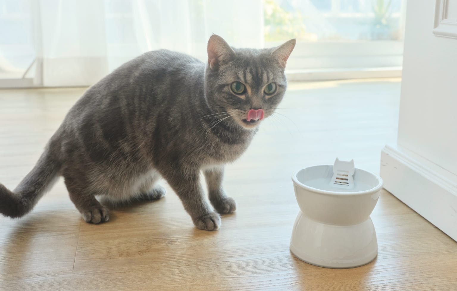 毎日飲む水だから、飲みやすさにこだわりたい。