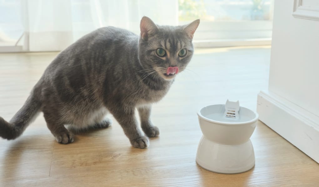 毎日飲む水だから、飲みやすさにこだわりたい。