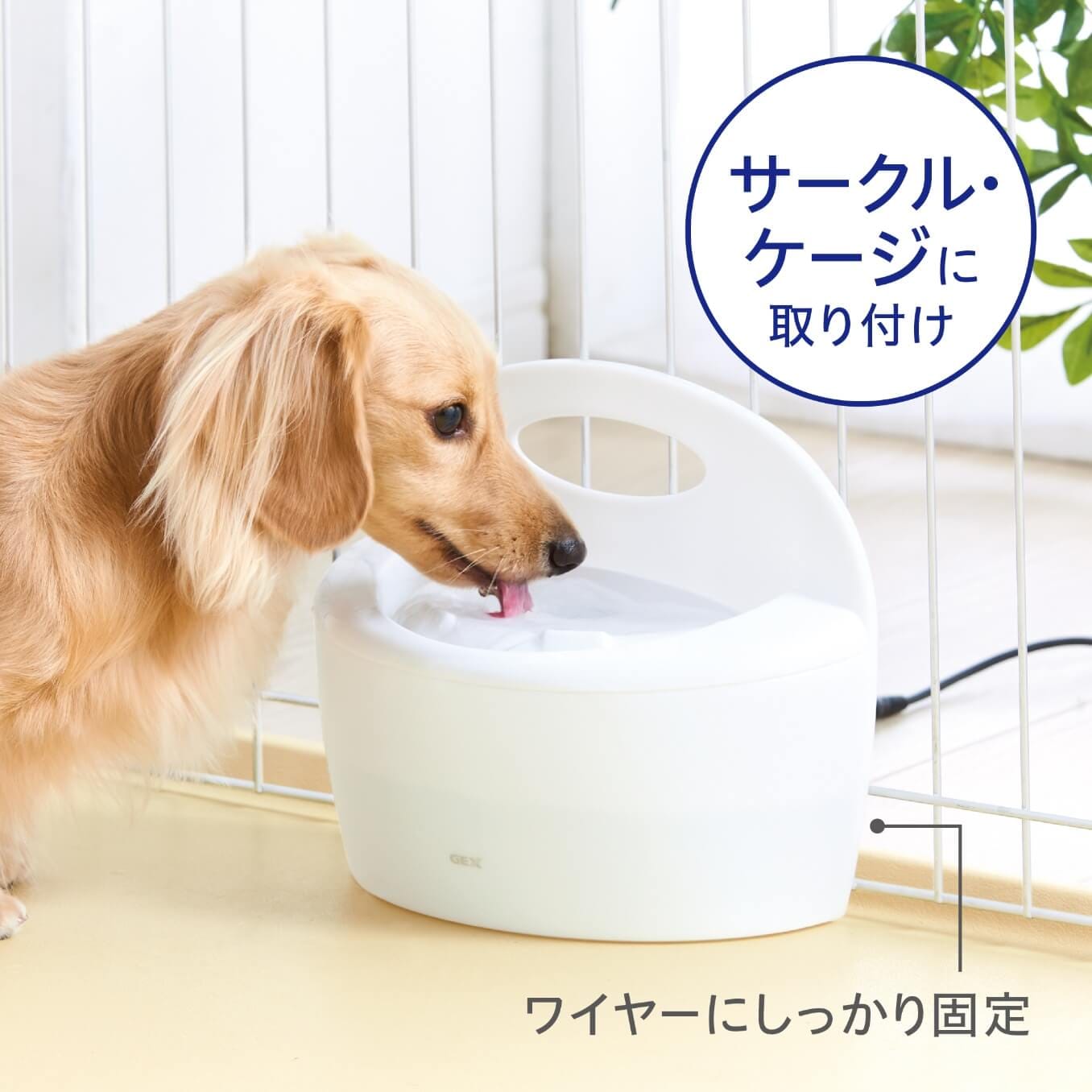 ピュアクリスタル フィット 900mL