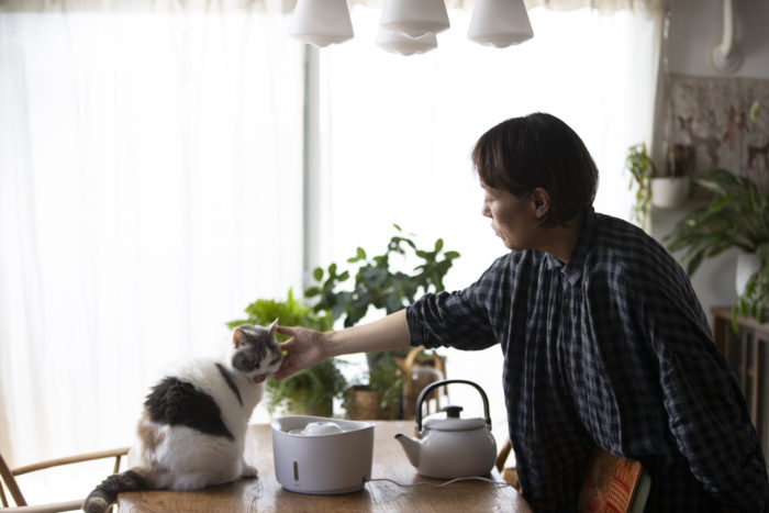 愛猫たちが安心して飲んでくれること、それが健康維持につながり長年愛用する理由です