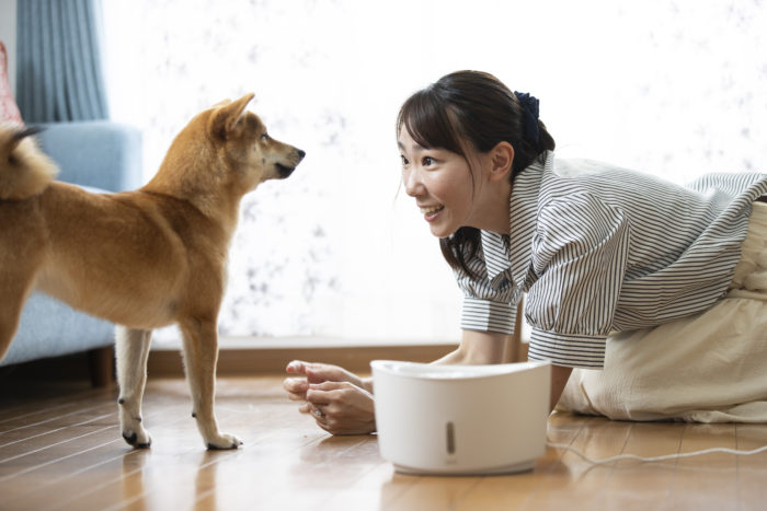 多忙な飼い主さんの味方！愛犬の健康維持のための必須アイテム