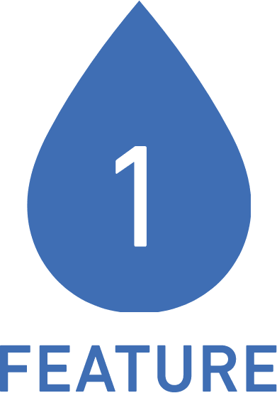 FEATURE-1