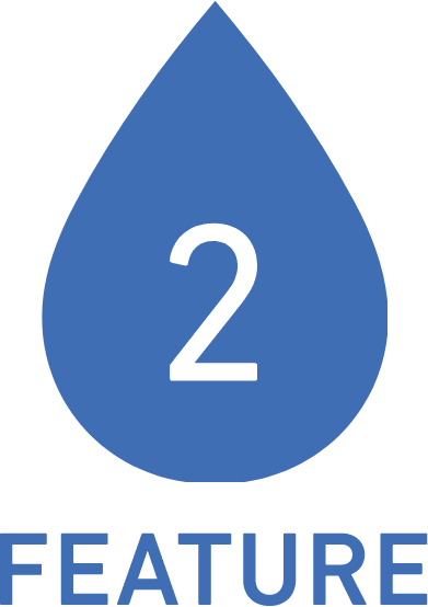 FEATURE-2